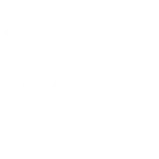 Court Vision